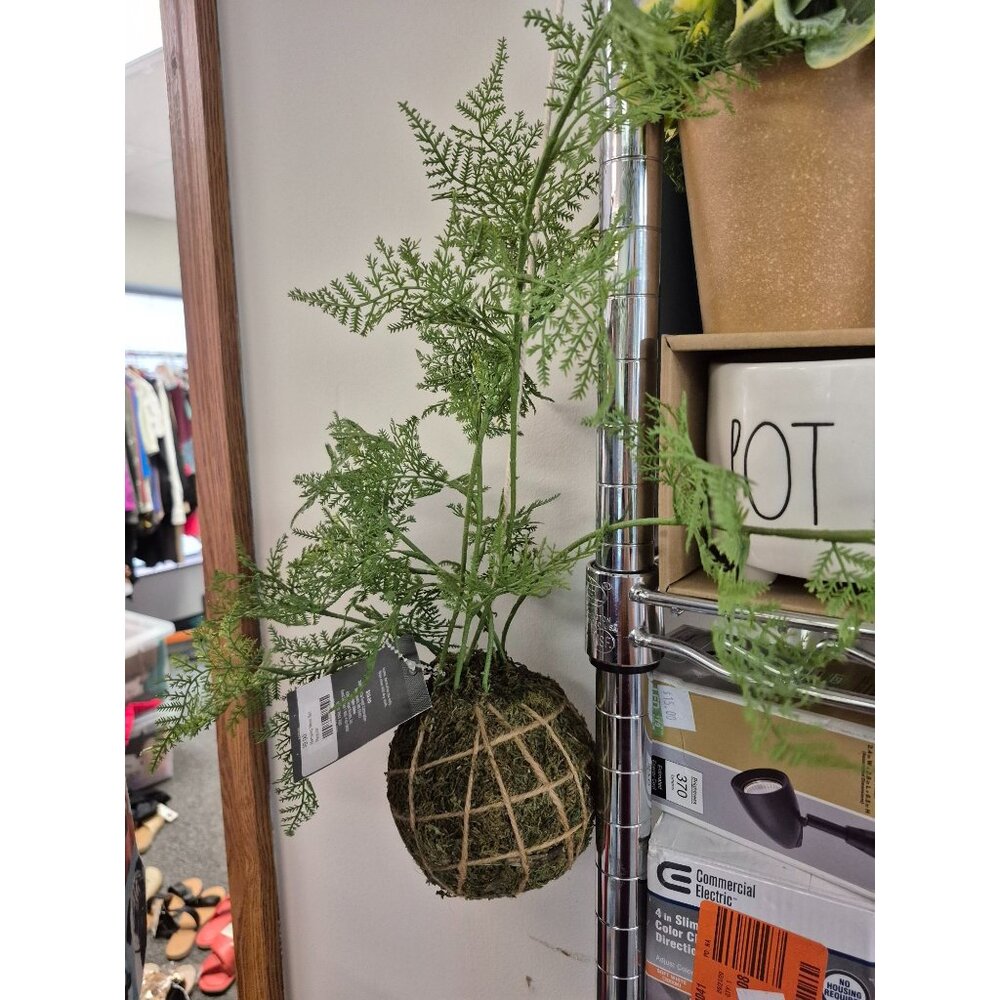 Hanging Moss Ball Decorative Plant By Threshold